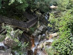 -大围山国家森林公园