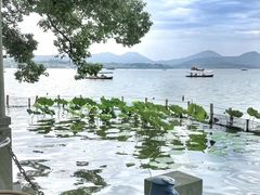 -湖畔居茶楼(湖滨店)