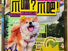 -天虹购物中心(石路店)
