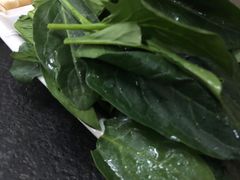 -新乡杨记红焖羊肉火锅(天坛南门店)