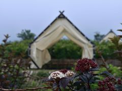 -紫云台香草园