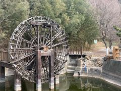 -石老人观光园