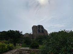 -枸杞岛