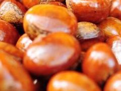 -金栗王(清扬路店)