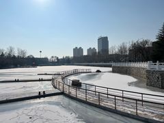 -莱西月湖公园