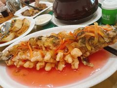 松子鱼-高记惠州风味楼(惠城店)