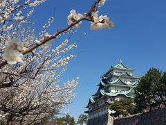 -名古屋城