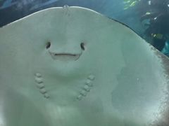 -苏州海洋馆
