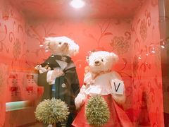 -济州岛泰迪熊博物馆