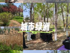 -前关湿地公园
