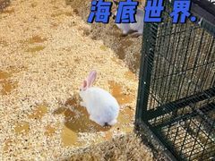 -重庆欢乐海底世界
