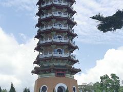 -明潭茶老爸