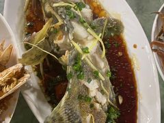 石斑鱼-亚龙湾8号(丁村万人海鲜广场店)