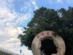 -演武大桥观景平台