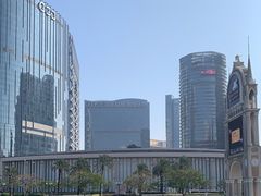 -澳门威尼斯人综合度假区