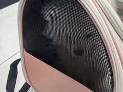-艾吉宠物医院·疑难杂症转诊中心·猫友好(碧江路院)