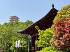 -牛首山文化旅游区