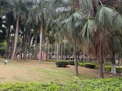 -厦门大学(思明校区)