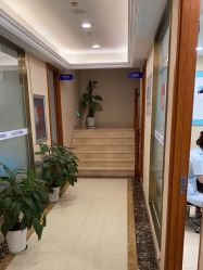 点击看大图 -碧莲盛·不剃发植发