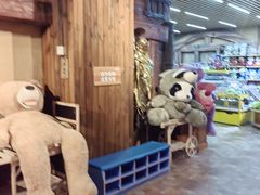 -萌宠奇缘(荣鼎店)