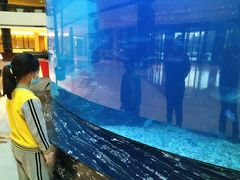 -OPEN開全日自助餐厅·牛肉火锅·海鲜(佛山希尔顿酒店)