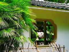 -晓港公园