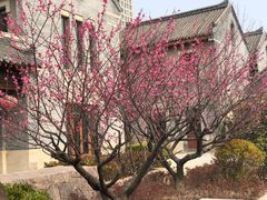 -即墨古城