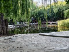 -玲珑塔公园