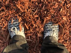 -上海共青森林公园