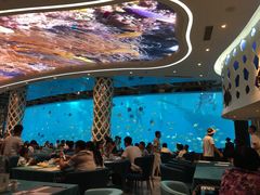 -瑞德姆美人鱼海底演艺主题餐厅(亚龙湾店)