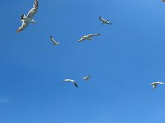 -海驴岛(荣成市)