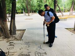 -青城公园