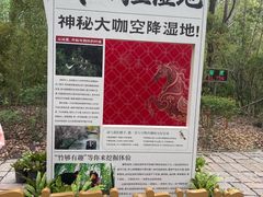 -同里国家湿地公园