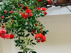 -人民公园(罗湖区)