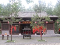 -合肥滨湖国家森林公园