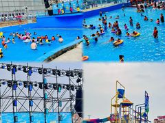 -海合安天津极地海洋公园