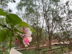 -东郊湿地公园