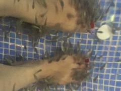 -水晶之星洗浴温泉汗蒸