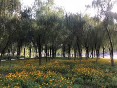 -武汉两江游览·夜游长江(汉口粤汉码头)