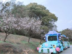 -苏州上方山国家森林公园