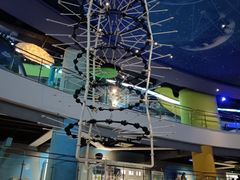 -苏州青少年科技馆