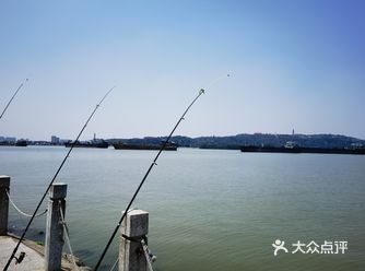 周末入岛，在岛北租辆自行车转了一小圈，感受珠江入海口