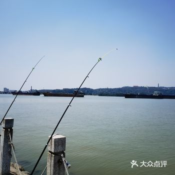 周末入岛，在岛北租辆自行车转了一小圈，感受珠江入海口