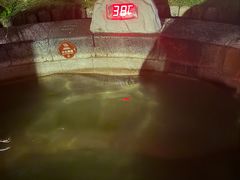 -扬州瘦西湖温泉