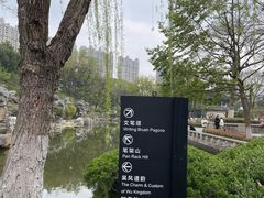 -红梅公园