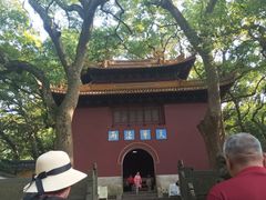 -普陀山风景名胜区-法雨禅寺