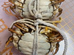 -巴城阳澄湖小芳农家乐