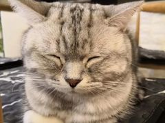 -平行世界·猫咖(首经贸店)