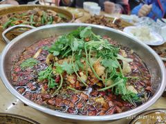青花椒水煮三岔湖大花鲢-一品红烧鸭特色川菜(三岔湖店)