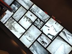 -山河屯铁锅炖(哈西站店)